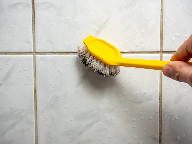Best Preventive Mold Services in Albuquerque, NM