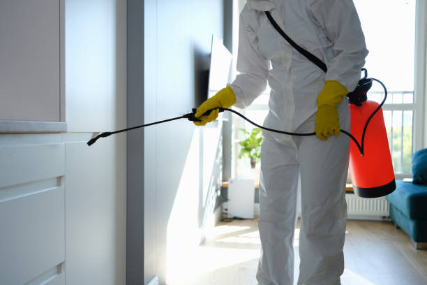 Best Mold Testing and Inspection Services in Albuquerque, NM